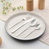 Russell Hobbs RH03225EU7 Vienna Stainless Steel 48 Piece Cutlery Set
