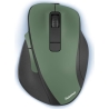 Hama 00173035 MW-500 V2 Forest Green