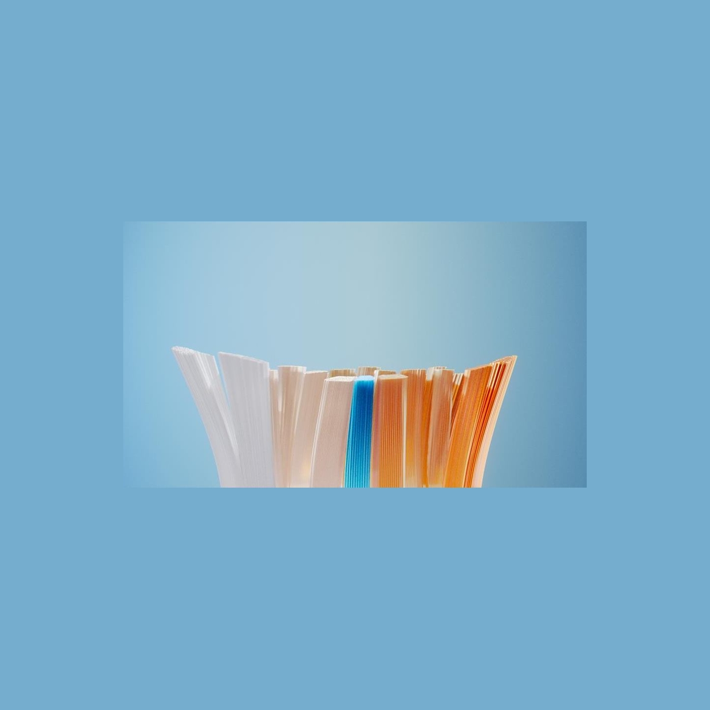 Philips Sonicare toothbrush heads HX9094/88 / HX9094/88