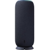 Motorola SOUND FLOW CARBON