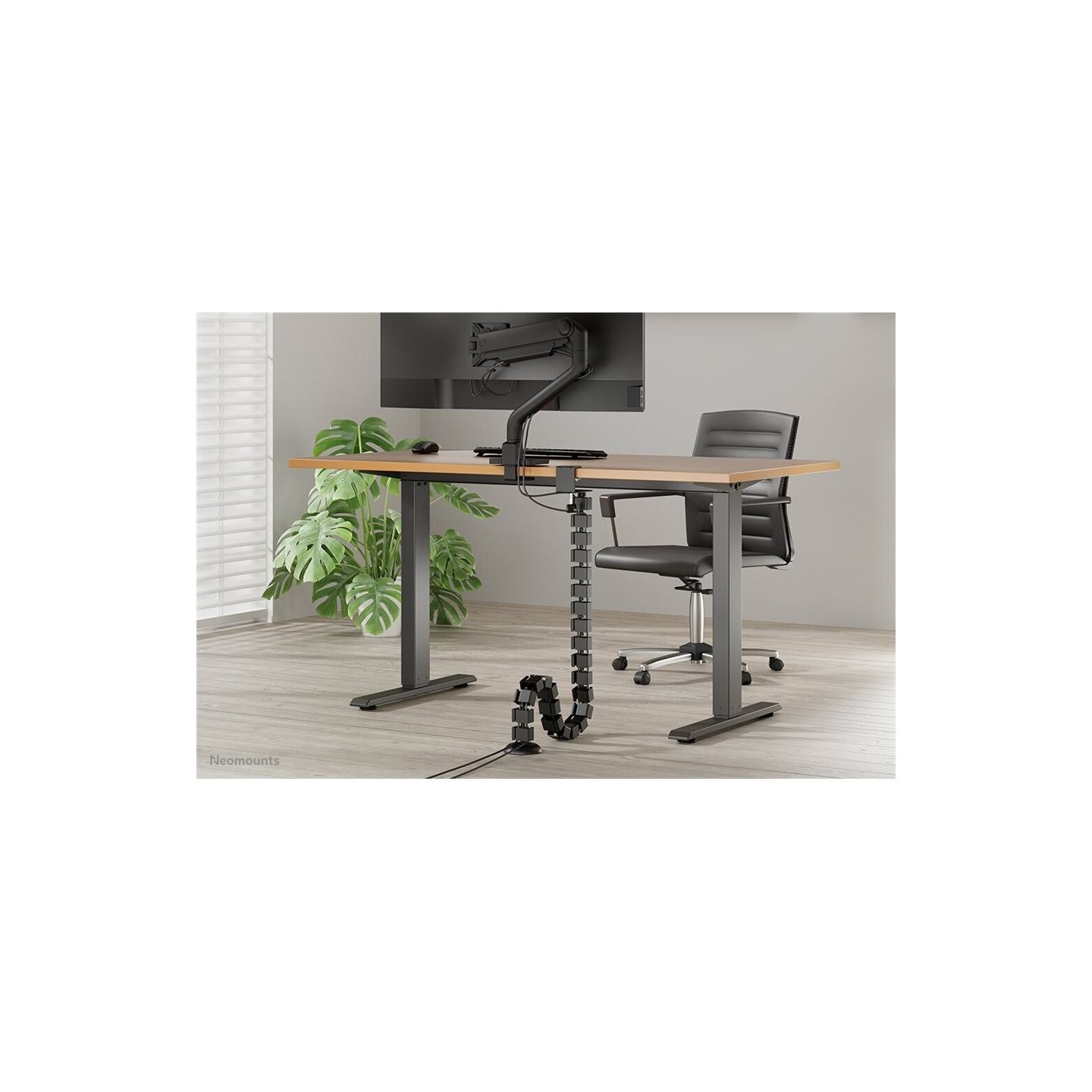 Neomounts CABLE SPINE ORGANIZER FOR SIT/STAND DESK FRAMES, CLAMP MOUNTED, BLACK