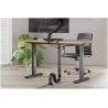 Neomounts CABLE SPINE ORGANIZER FOR SIT/STAND DESK FRAMES, CLAMP MOUNTED, BLACK