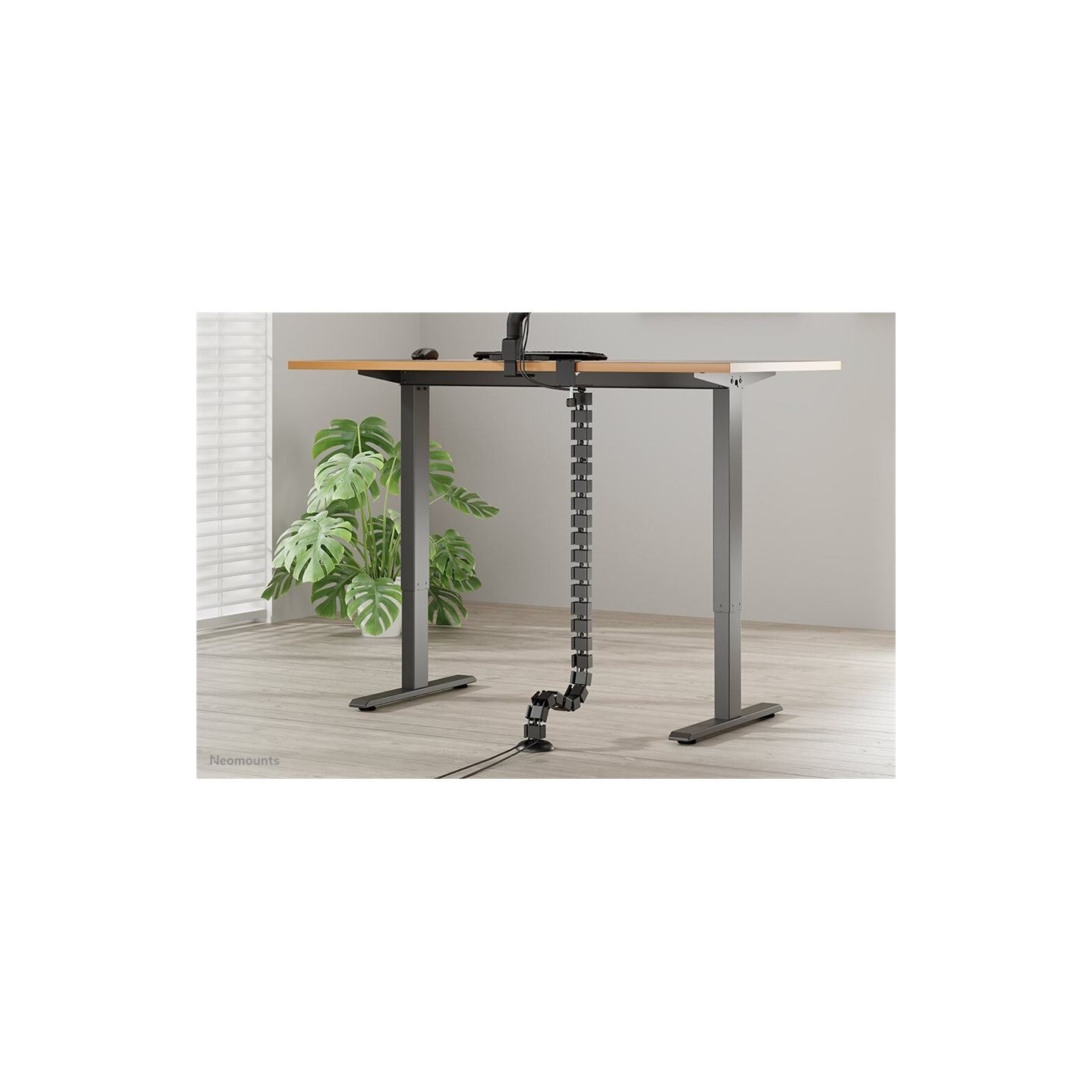 Neomounts CABLE SPINE ORGANIZER FOR SIT/STAND DESK FRAMES, CLAMP MOUNTED, BLACK