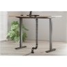 Neomounts CABLE SPINE ORGANIZER FOR SIT/STAND DESK FRAMES, CLAMP MOUNTED, BLACK