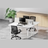 Neomounts NEWSTAR MONITOR RISER (HEIGHT ADJUSTMENT: 16,8 CM) 25 KG BLACK
