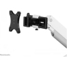 Neomounts DS65S-950WH2 FULL MOTION DESK MONITOR ARM FOR 24-34" SCREENS - WHITE