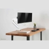 Neomounts FLAT SCREEN DESK MOUNT (10-32") DESK CLAMP/GROMMET