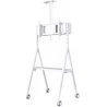 Neomounts NEWSTAR MOBILE FLAT SCREEN FLOOR STAND (HEIGHT: 110 - 144 CM) 32-65" WHITE