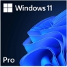Microsoft MS ESD Win Pro 11 64-bit