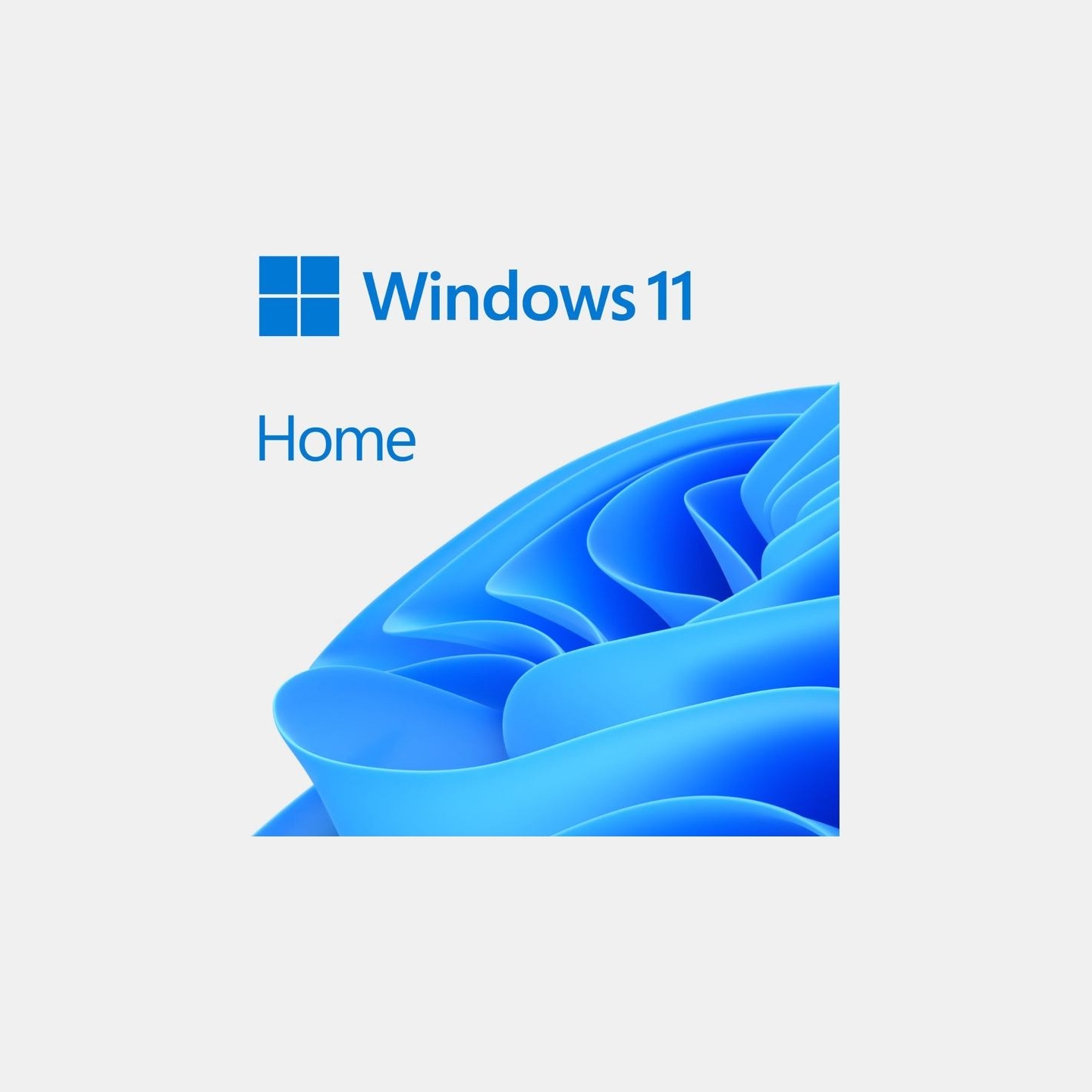 Microsoft MS ESD Win Home 11 64-bit