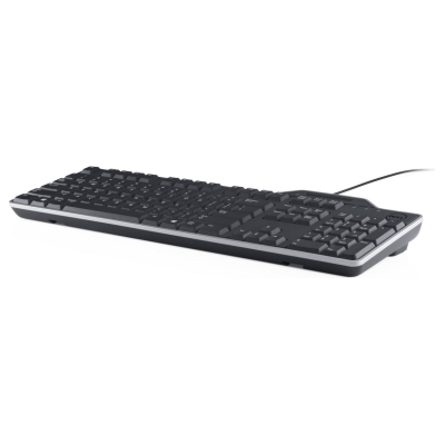 Dell Smartcard Keyboard - KB813 - Estonian (QWERTY) / 580-AFYX