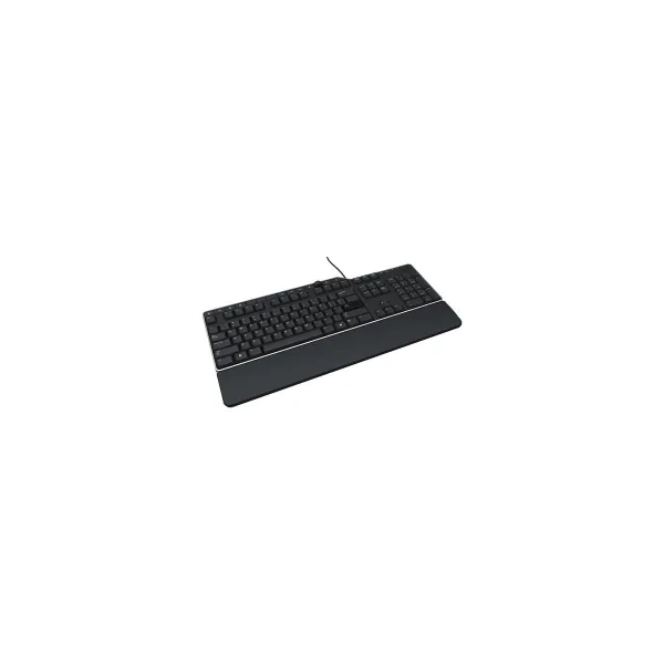 Dell Keyboard : US/Euro (QWERTY) Dell KB-522 Wired Business Multimedia USB KeyboardBlack (Kit) / 580-17667