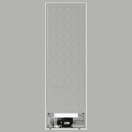 Gorenje Freezer FN619EEW5