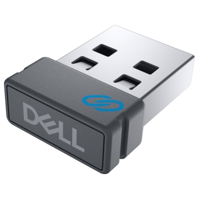 Dell Wireless Keyboard - KB500 - US International (QWERTY) / 580-AKOO