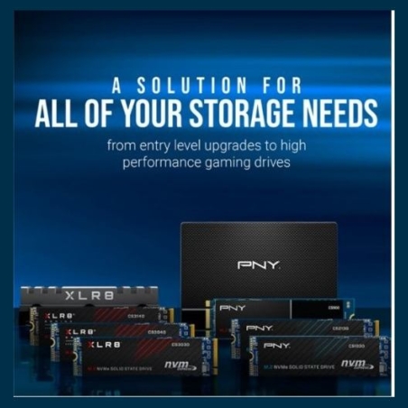 PNY SSD 1TB M.2 CS1030 M280CS1030-1TB-RB