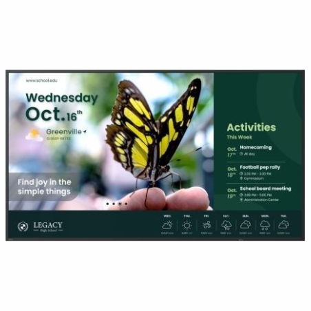Benq Large-format monitor 55-inch ST5504 LED 4K/4500:1/ANDROID