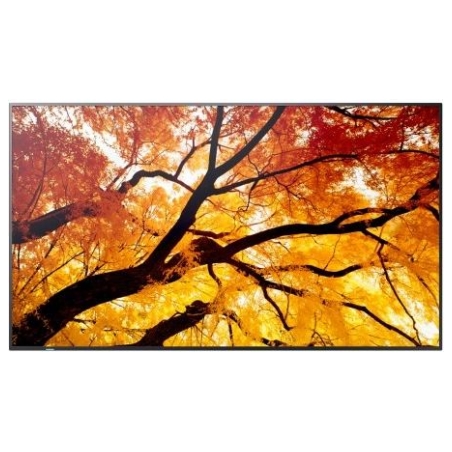 Sharp Monitor M652 65 inches 24/7 550cd/m2