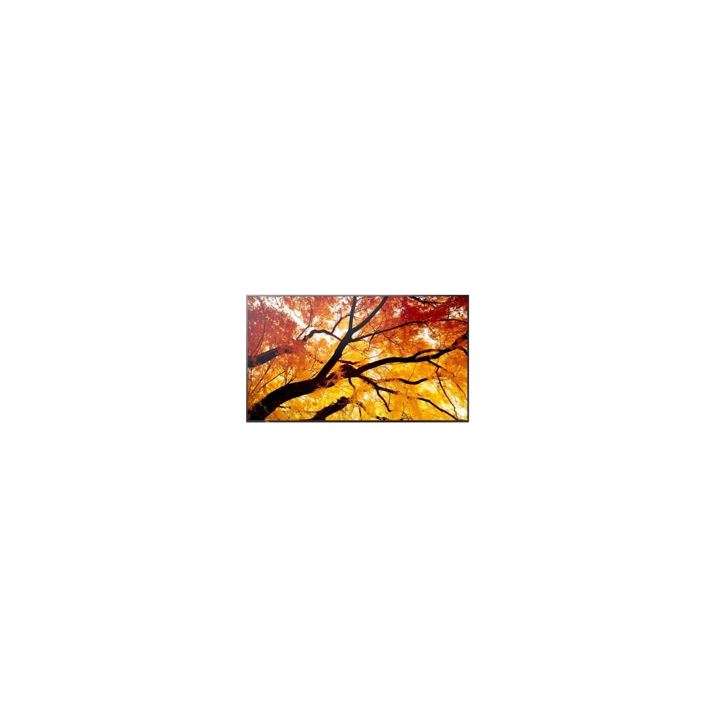 Sharp Monitor M652 65 inches 24/7 550cd/m2