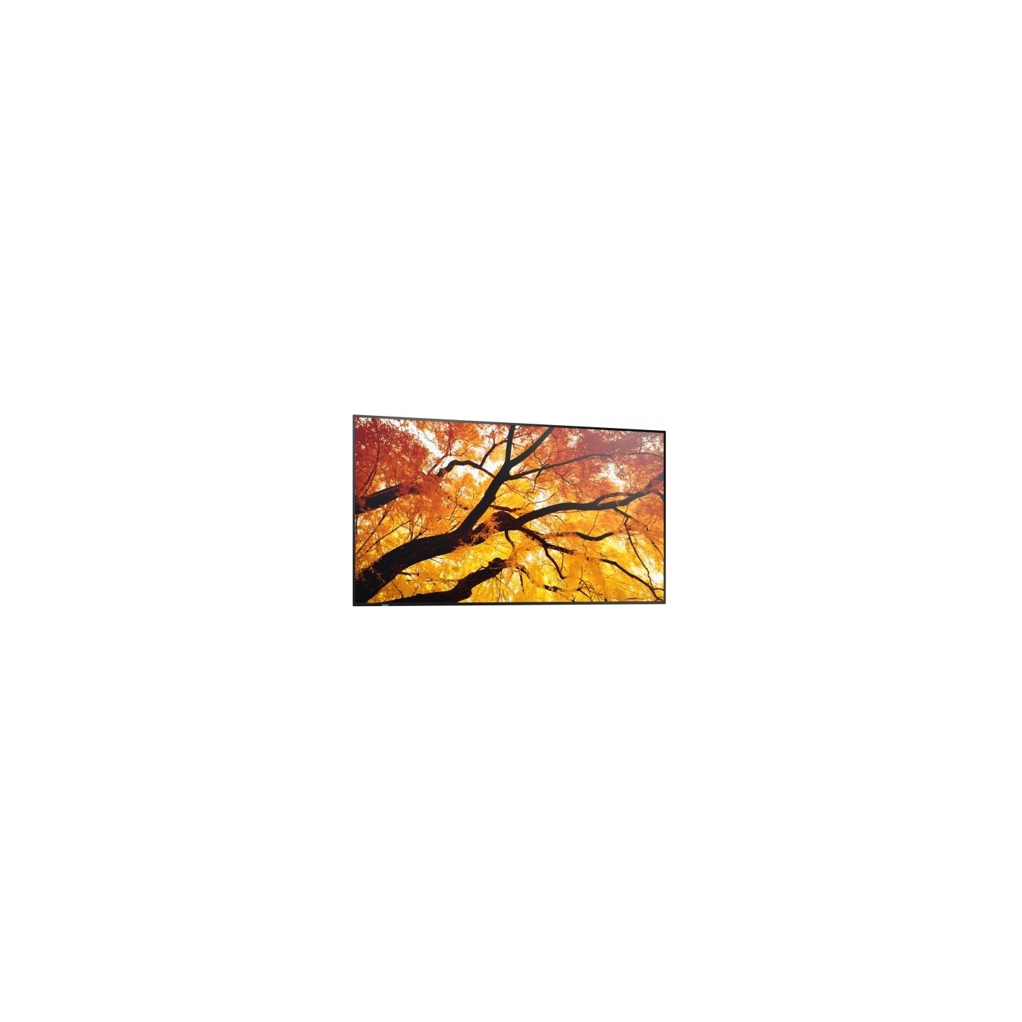 Sharp Monitor M652 65 inches 24/7 550cd/m2