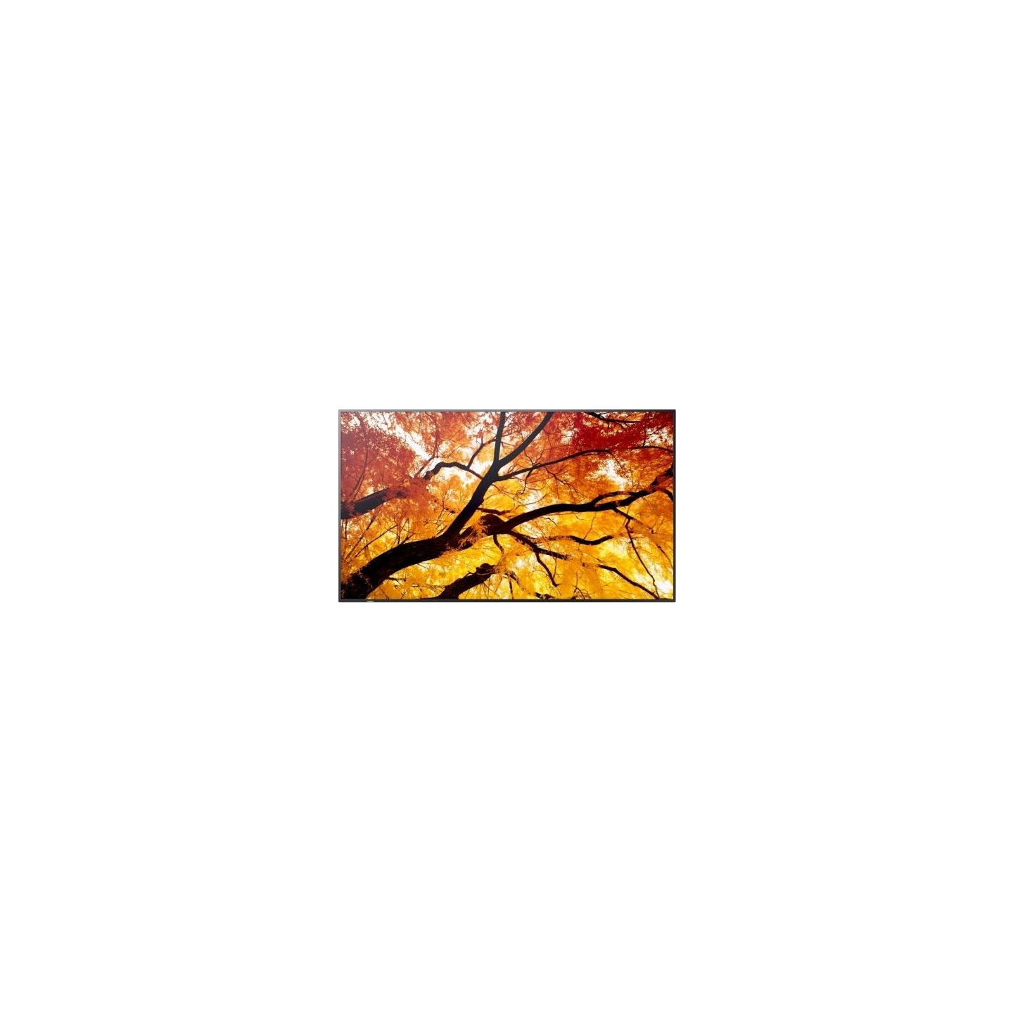Sharp Monitor MultiSync M502 50 inches 550cd/m2 24/7