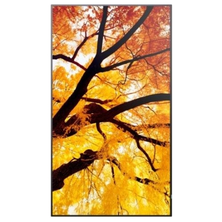 Sharp Monitor MultiSync M502 50 inches 550cd/m2 24/7