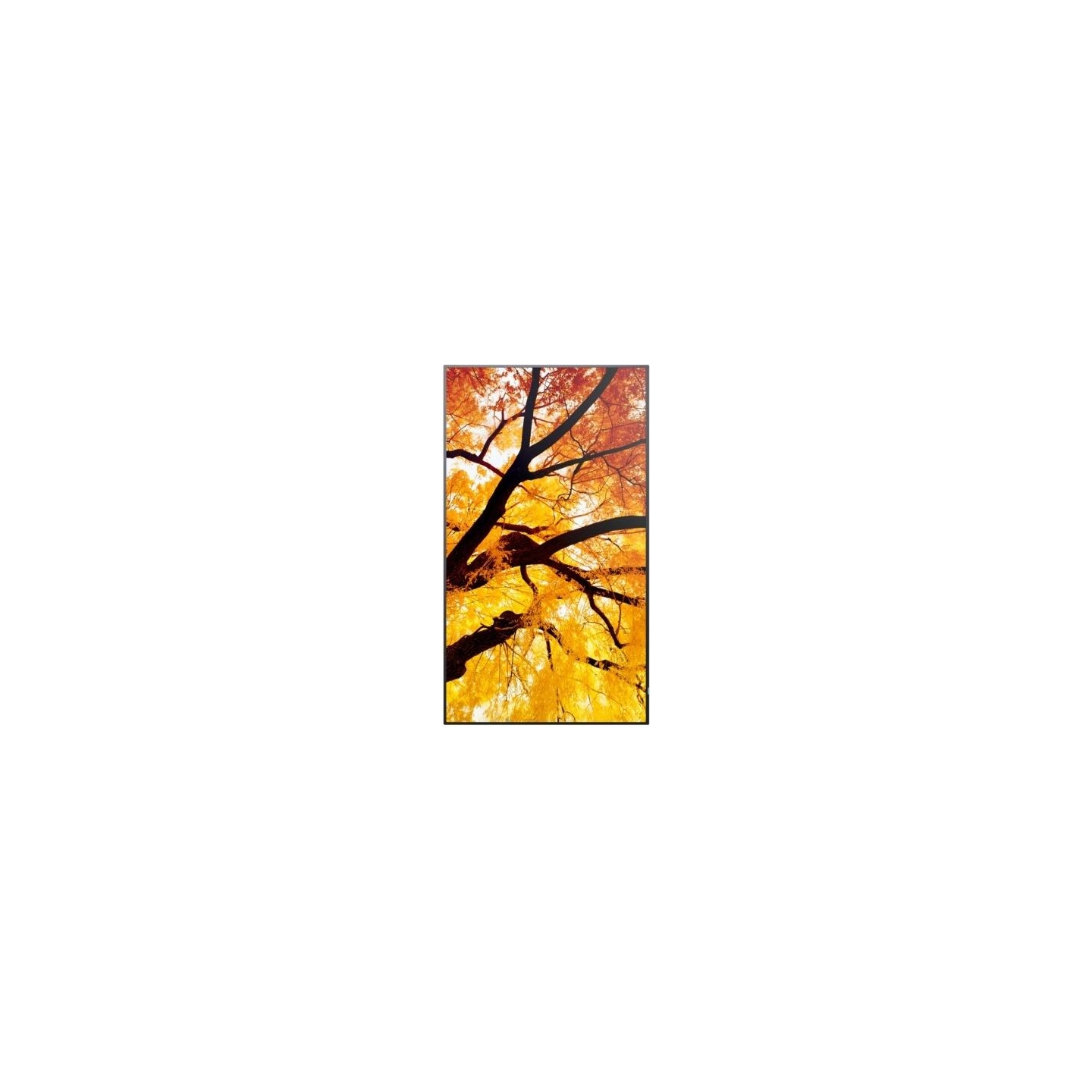 Sharp Monitor MultiSync M502 50 inches 550cd/m2 24/7