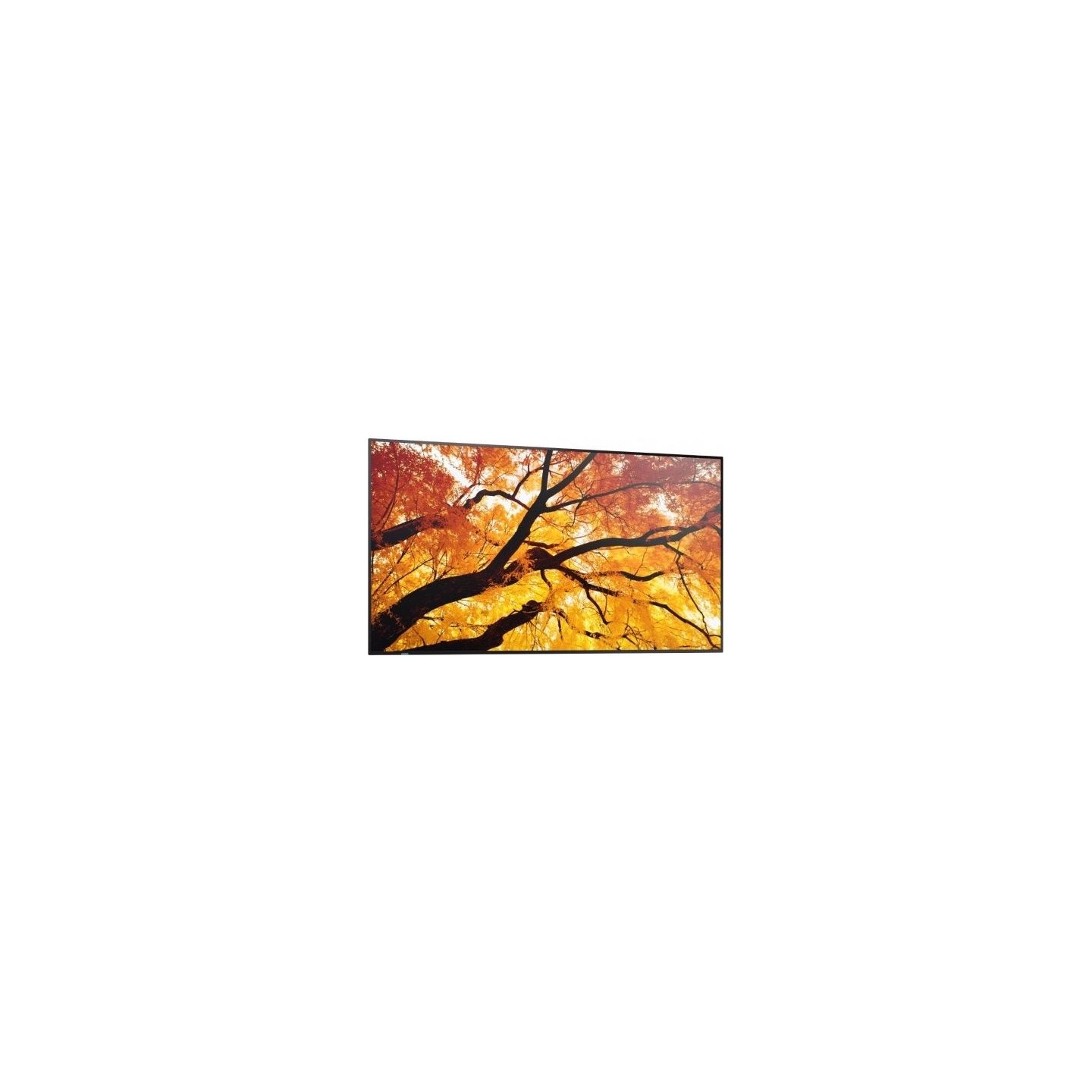 Sharp Monitor MultiSync M502 50 inches 550cd/m2 24/7