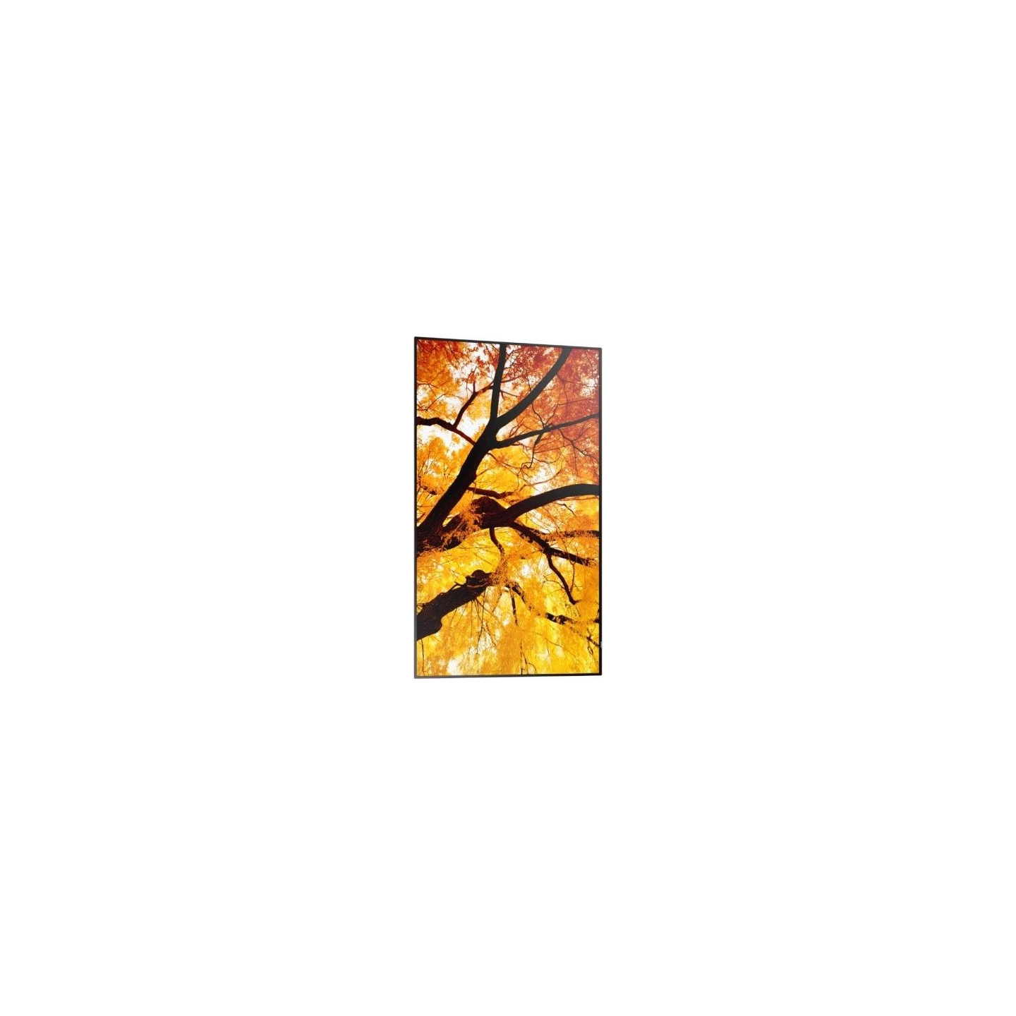 Sharp Monitor MultiSync M502 50 inches 550cd/m2 24/7