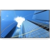 Sharp Monitor MultiSync P506 50 inches UHD 700cd/m2 24/7