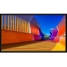 Sharp Monitor MultiSync E439 43 inches UHD 16/7 350cd/m2
