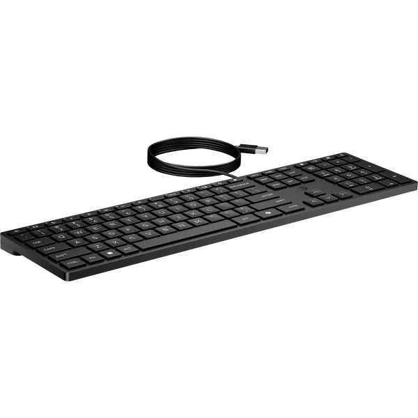 HP 320K USB Wired Keyboard - Black - US ENG / 9SR37UT#ABB