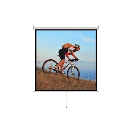 ART Manual Screen 1: 1 96 "244x244cm MS-96 1:1