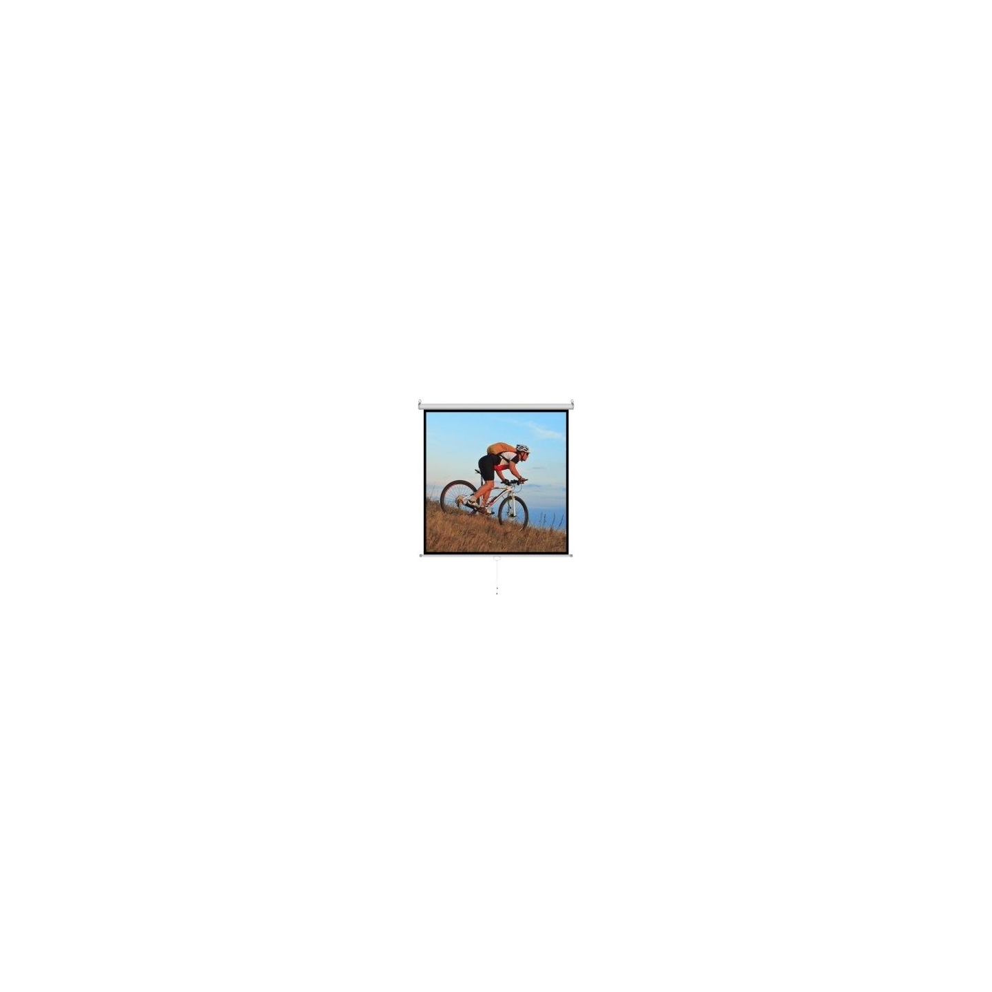 ART Manual Screen 1: 1 96 "244x244cm MS-96 1:1