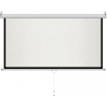 ART Manual Screen 1: 1 96 "244x244cm MS-96 1:1