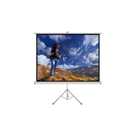 ART Handheld Screen on Tripod TS-100 4:3 100 inches 203x152cm