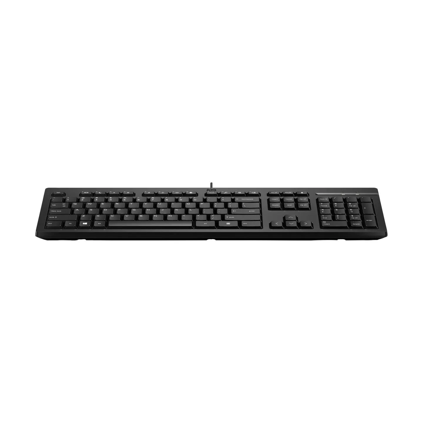 HP 125 G2 USB Wired Keyboard, Sanitizable, Copilot Key - Black - ESTONIAN / AY2Y7AA#ARK