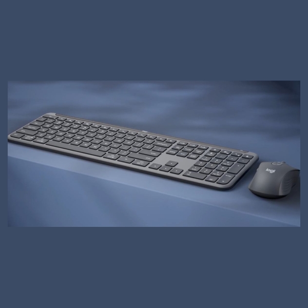 Logitech Mouse Signature MK950 for Business Graphite / 920-012504