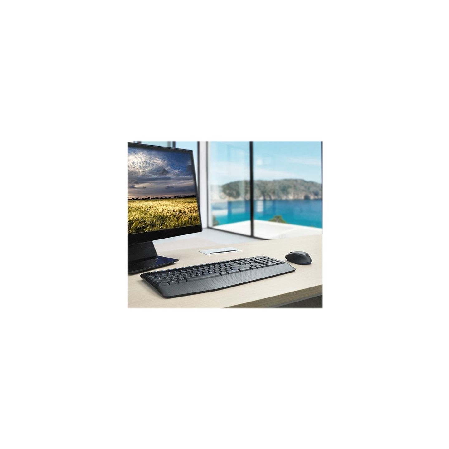 Logitech LOGI MK345 Wireless Combo (US)