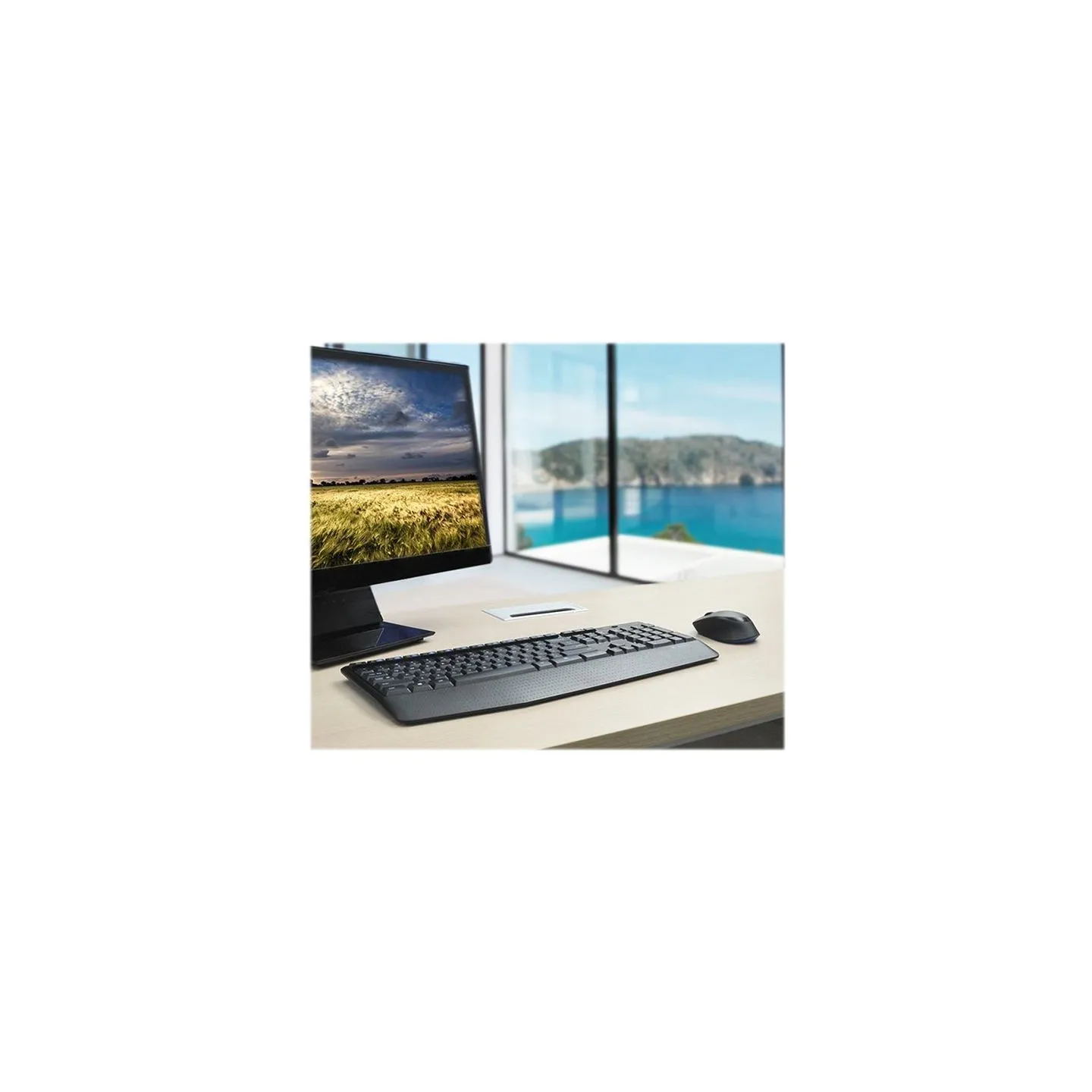Logitech LOGI MK345 Wireless Combo (US)