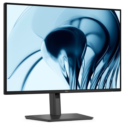Dell Pro P 24 16:10 Monitor- P2426 / 210-BVJR