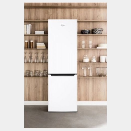 Amica FK2995.2FT(E) fridge-freezer
