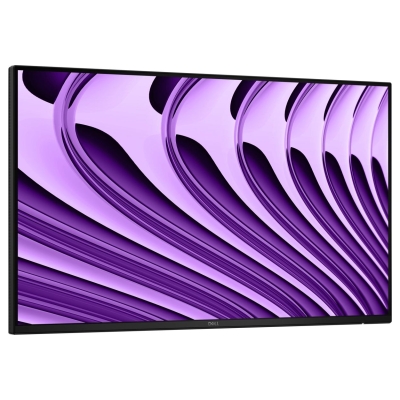 Dell Pro P 24 USB-C Hub Monitor - P2426HE without stand / 210-BVKR