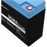 Qoltec LiFePO4 battery 12.08V, 30Ah, 384Wh, BM