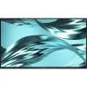 Dell Pro 24 Plus Monitor - P2426H without stand / 210-BVTG