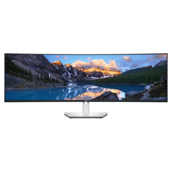 Dell UltraSharp 49 Curved Monitor - U4924DW, 124.5cm (49") / 210-BGTX
