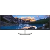 Dell UltraSharp 49 Curved Monitor - U4924DW, 124.5cm (49") / 210-BGTX