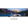 Dell UltraSharp 49 Curved Monitor - U4924DW, 124.5cm (49") / 210-BGTX