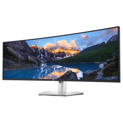 Dell UltraSharp 49 Curved Monitor - U4924DW, 124.5cm (49") / 210-BGTX