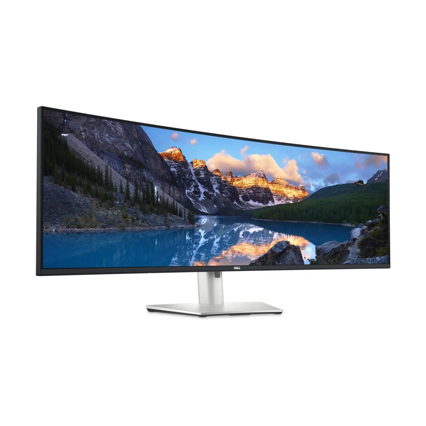 Dell UltraSharp 49 Curved Monitor - U4924DW, 124.5cm (49") / 210-BGTX