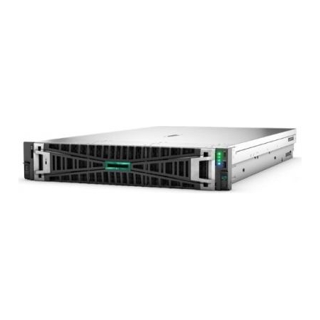 HP Server DL380 G12 6505P 12LFF P89962-425